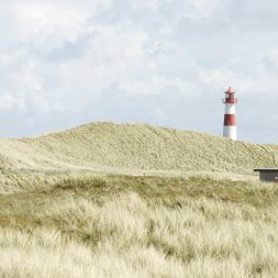 locationscouting fotografie