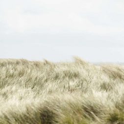 locationscouting fotografie