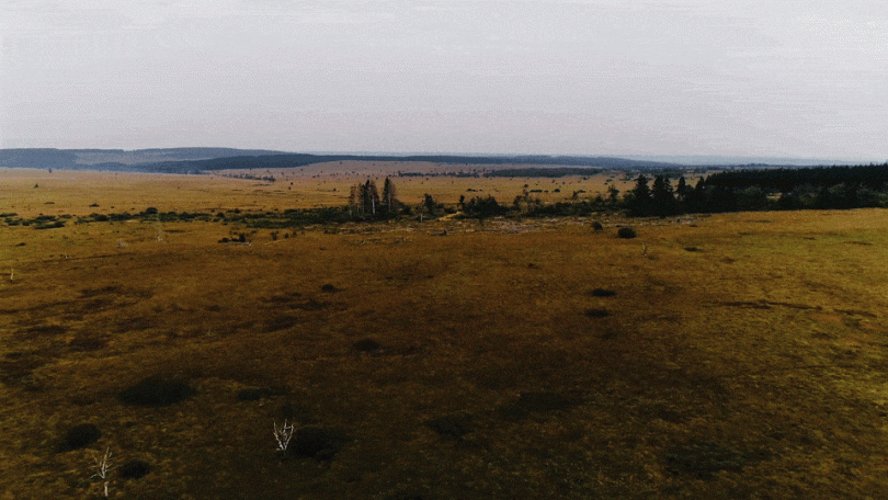 drohne people fashion planeroad studios